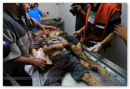 Gaza Genocide
