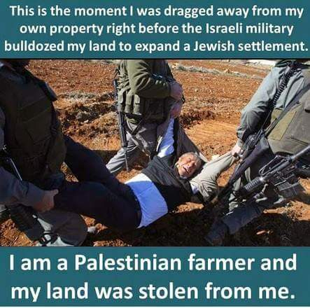 Palestinian Farmer